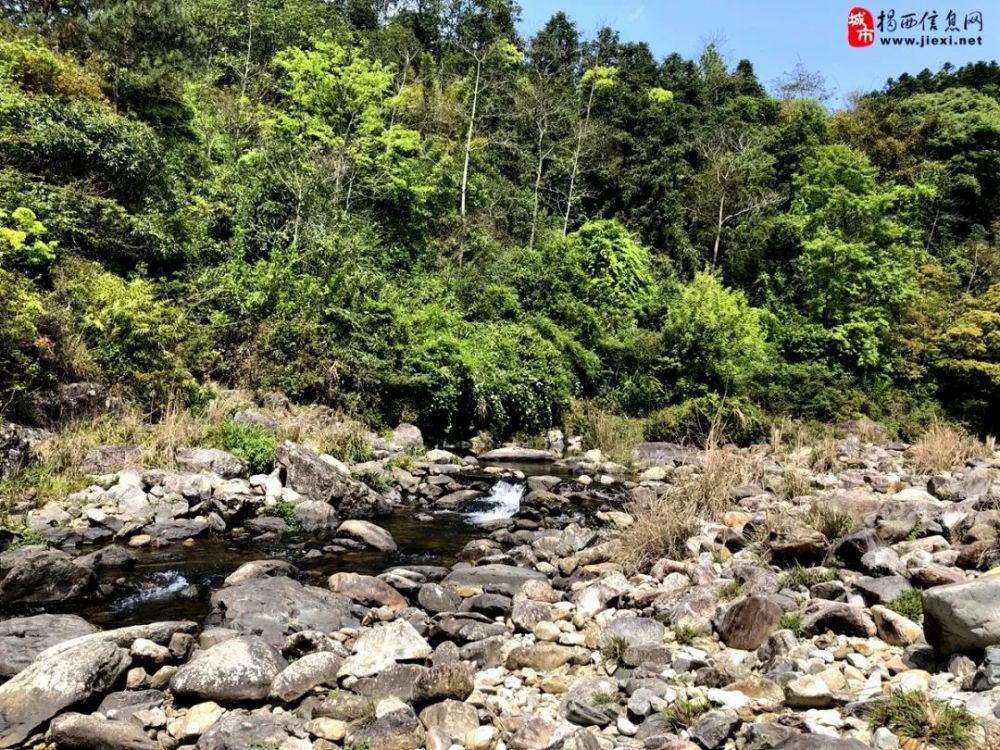 在谷歌地图上,看到龙潭有条开发不久山路可以直通到南山秤钩潭村,周末