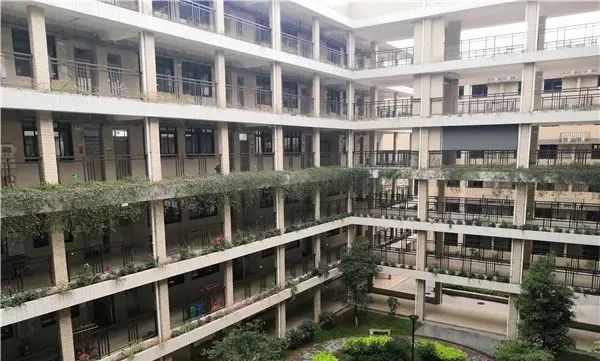 校园春色无不足 今春最念读书声 盼早归,可爱的少年们 文翰中学 赛道