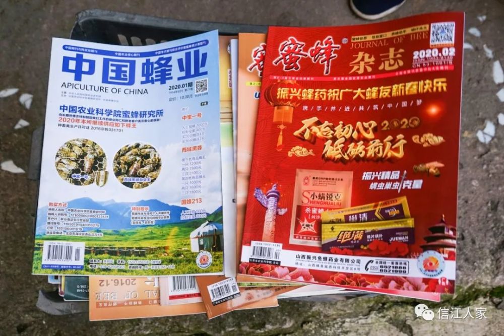 刊载了蔡呈贵养蜂心得文章的蜂业杂志