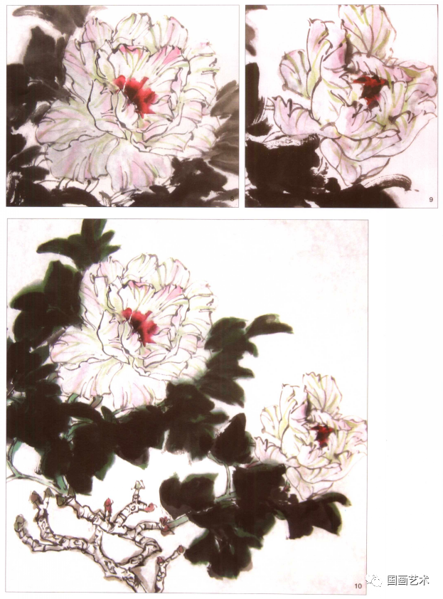 图文教程:梅若老师教你画小写意牡丹