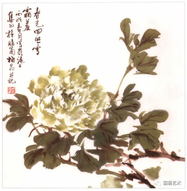 图文教程:梅若老师教你画小写意牡丹