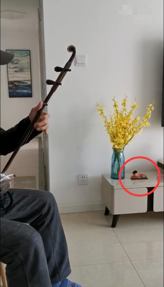 肖战《红梅赞》收割60后粉丝,听一天后拉二胡支持,背景人立牌惹人羡