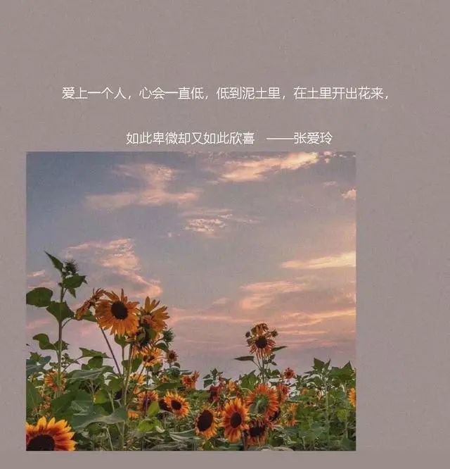 张爱玲22句经典语录:愿你看透爱情,看懂人心