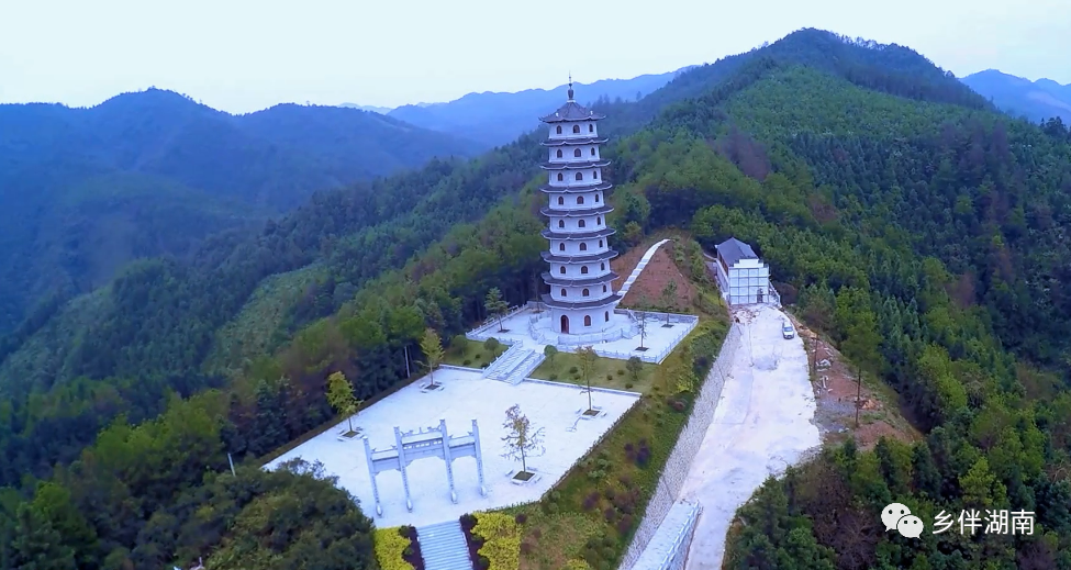 渠江薄片由来已久,早在唐代,"渠江薄片"就成了安化黑茶的代名词,留下