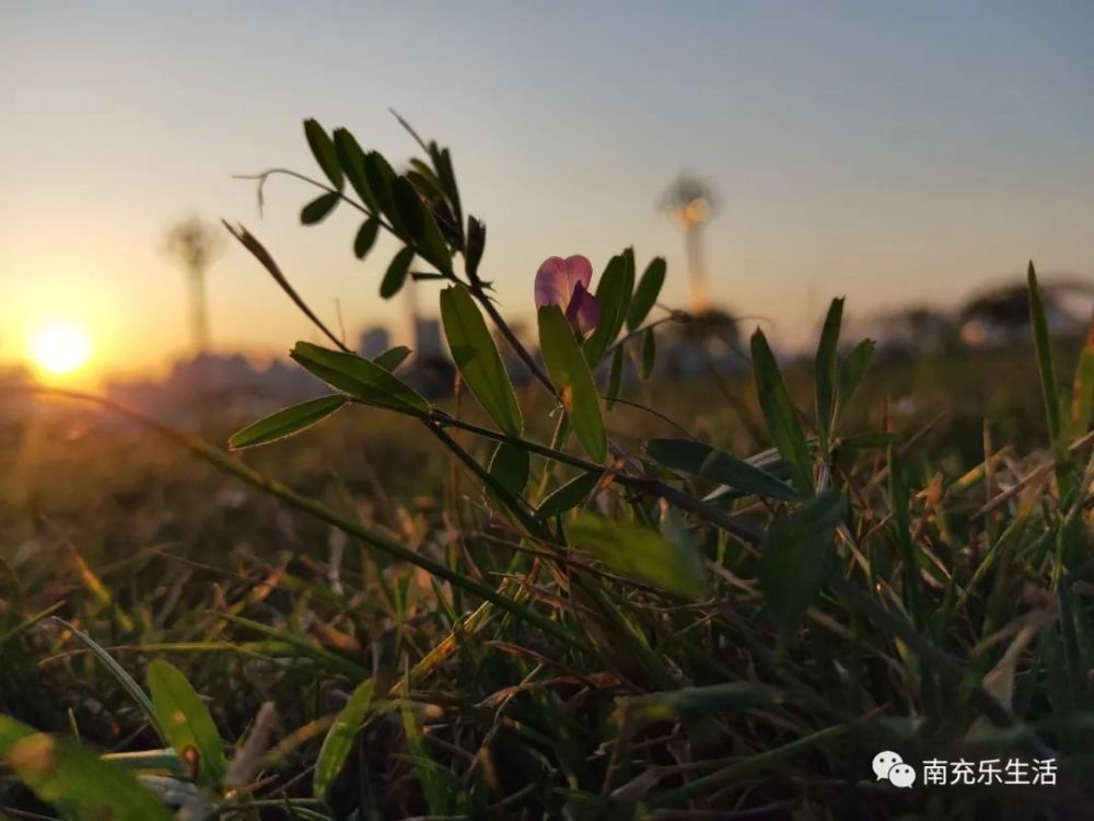 春雨洗过的太阳简谱_春雨里洗过的太阳(3)