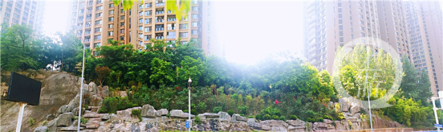 重庆主城区已完成146个坡坎崖绿化美化项目