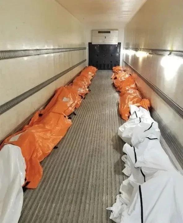 全球新冠病毒死亡超6位数,多国墓地供不应求,纽约岛上