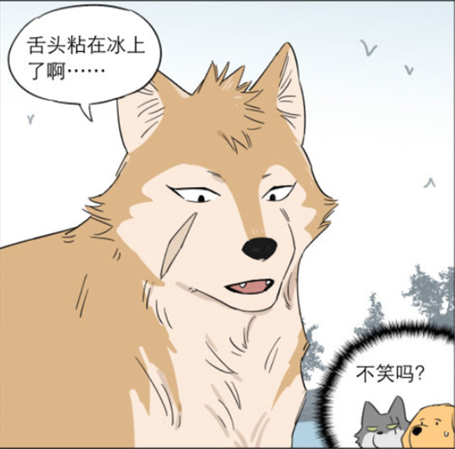 爆笑漫画:小奶狗的舌头被冰粘住了,狼王叼来一块牛排解难