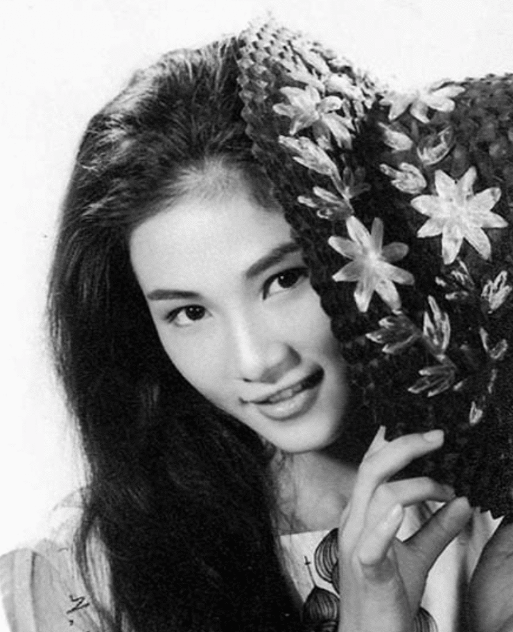 郑佩佩,香港演员,从影50余年
