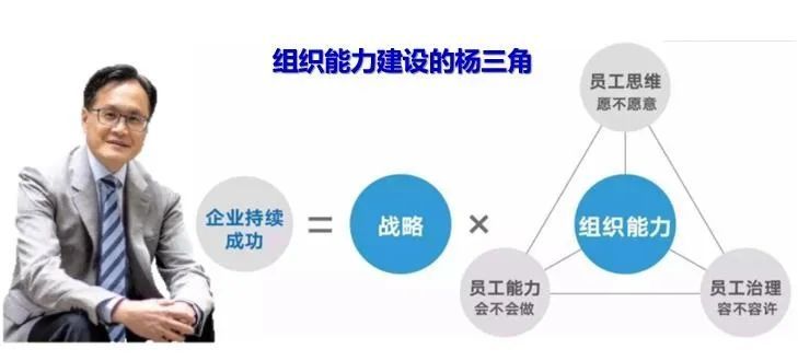 杨国安教授的"杨三角模型"说明了企业持续成功的因素,对组织能力通过