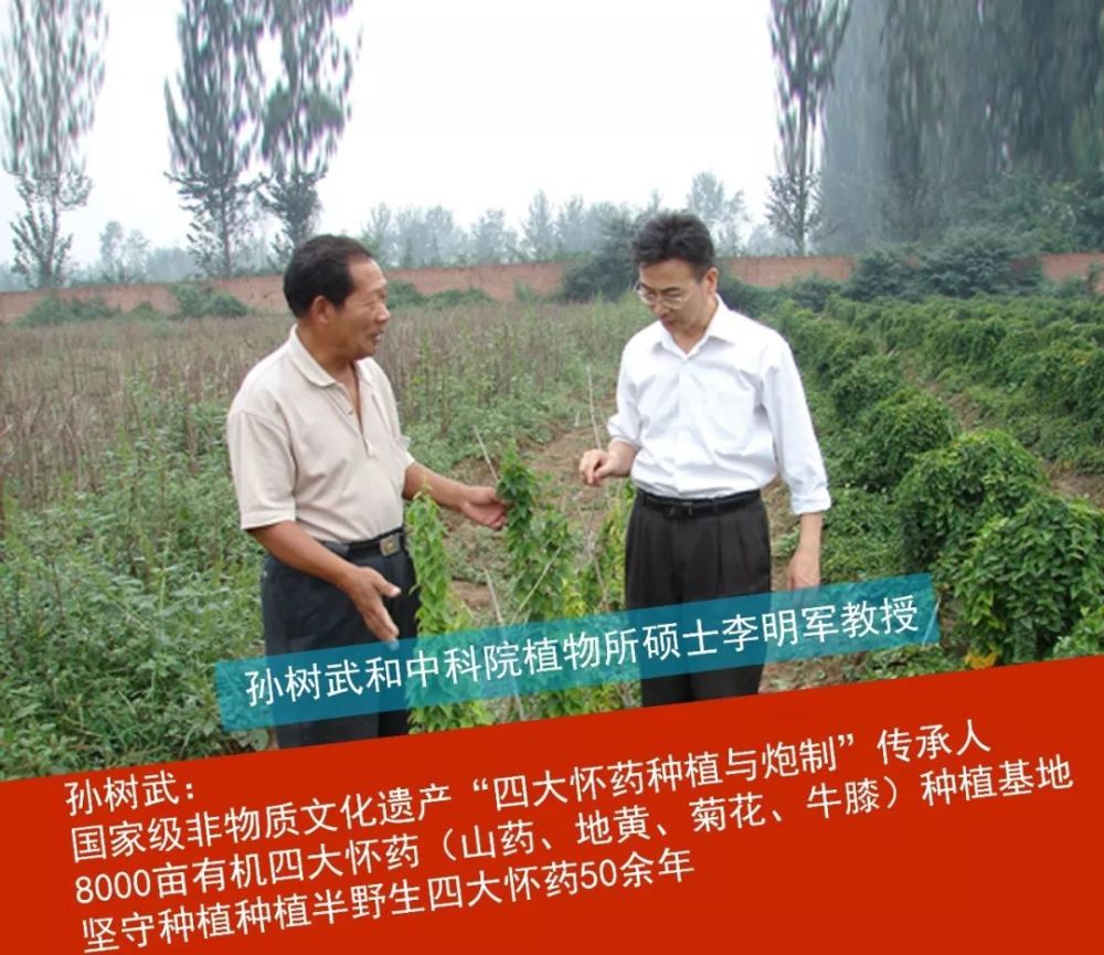 你还敢吃山药吗，长期吃山药的人变成了这样……