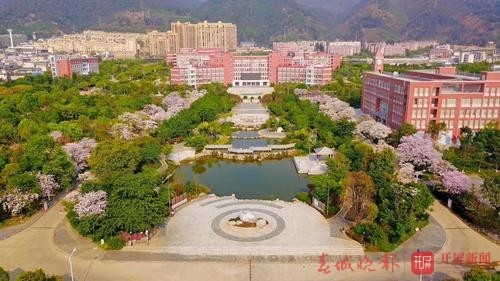 好久不见!花都开了,云南最美校园静待学子归