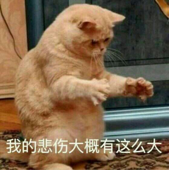 沙雕表情包 拜托帮我调一下 换到你爱我的频道