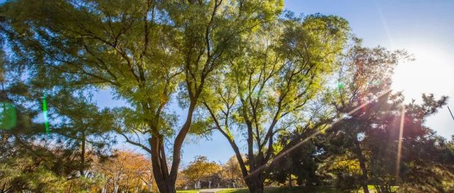 人无所舍，亦无所得！