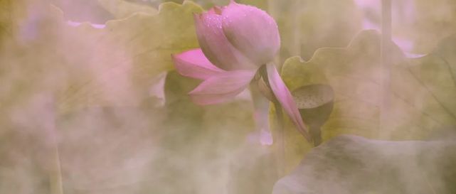 人无所舍，亦无所得！