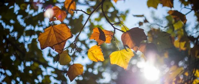 人无所舍，亦无所得！