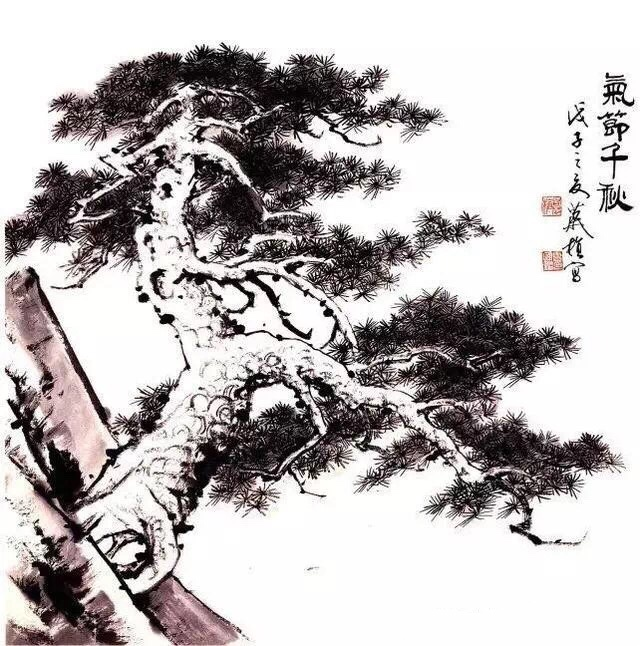 国画松树的入门画法_腾讯新闻