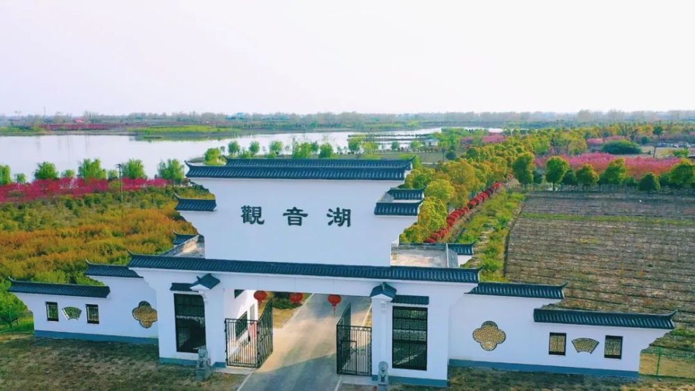 樱花▎春游江淮请您来!滁州石梁观音湖与你不负花期天长网