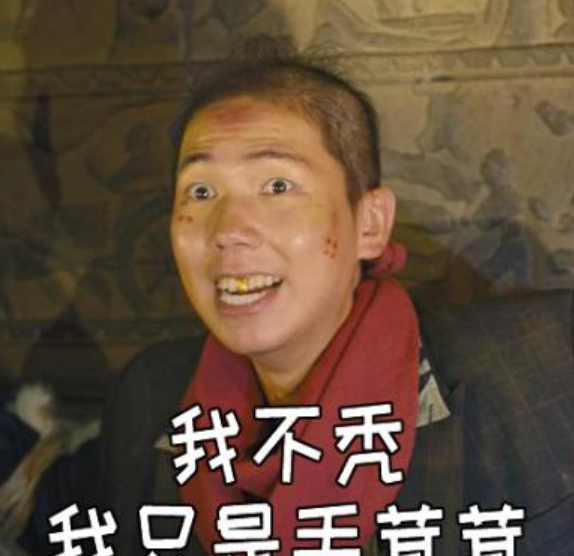 播出后很多网友还把大金牙那秃顶的头发做成了表情包,真的是太搞笑了!