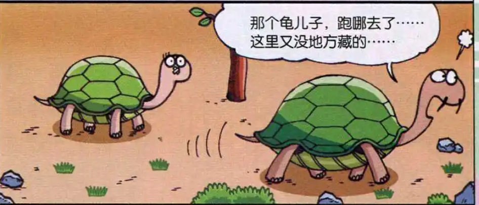 呆头农场龟爸爸到处找儿子原来龟儿子藏在另一头乌龟的壳里