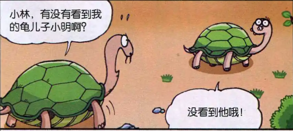 呆头农场龟爸爸到处找儿子原来龟儿子藏在另一头乌龟的壳里