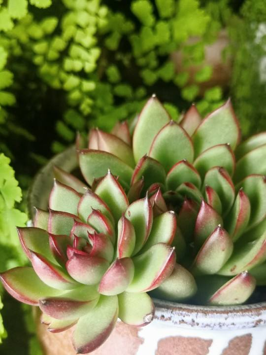 1000