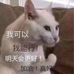 刷题刷到全身疲惫?林丹的体能教练帮你满血冲刺(下)