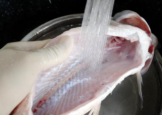 去掉鱼腥线就能去除腥味其实是错的请记住这4处才是腥味源