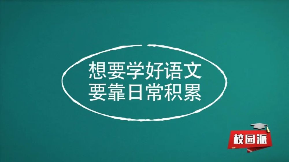 语文学习的重要性