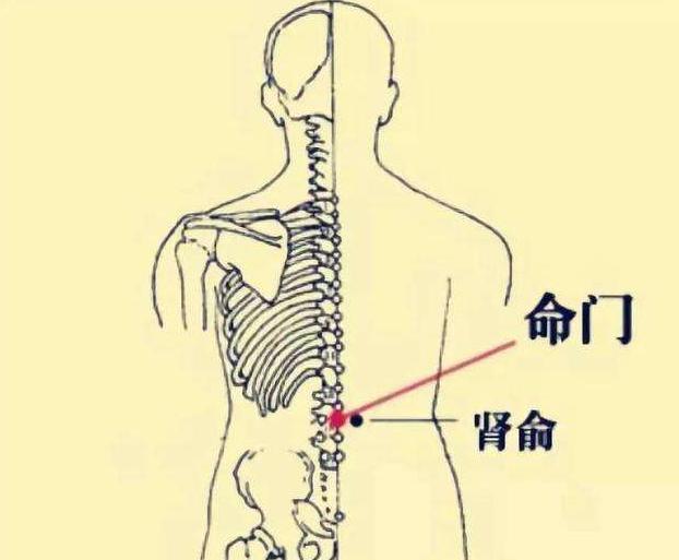 寿命短的女人，通常有5个特征，若一个不占，说明你比较健康