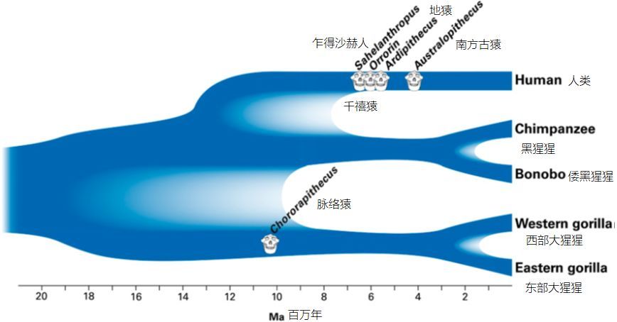 22世纪人类人口_人口普查(3)