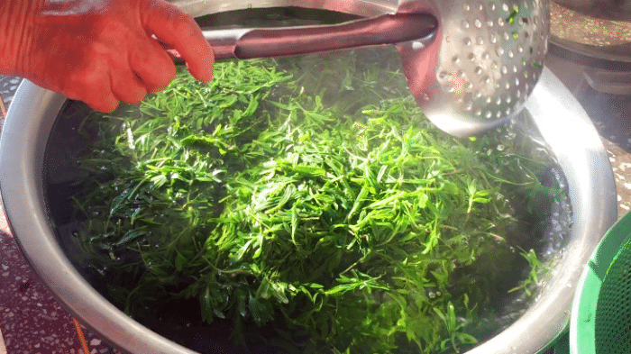 农村这野菜到处都是,城里卖很贵,用来包发面包子特鲜