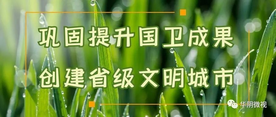 人口普查长标短表什么意思_第七次人口普查长表(2)