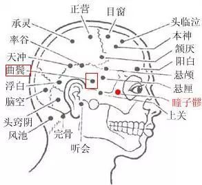 足少阳胆经之曲鬓