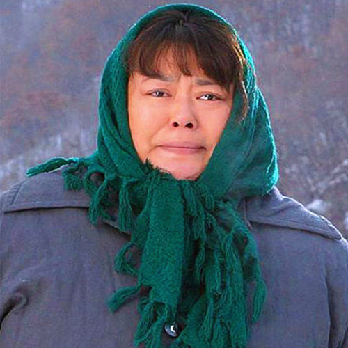 李菁菁剧照