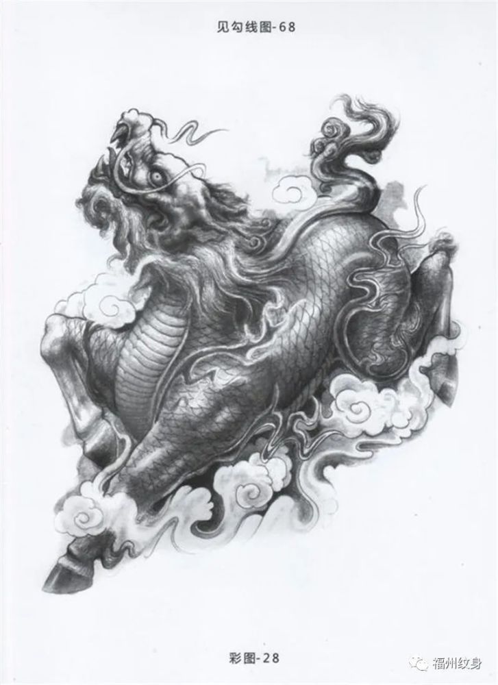 麒麟类纹身图稿