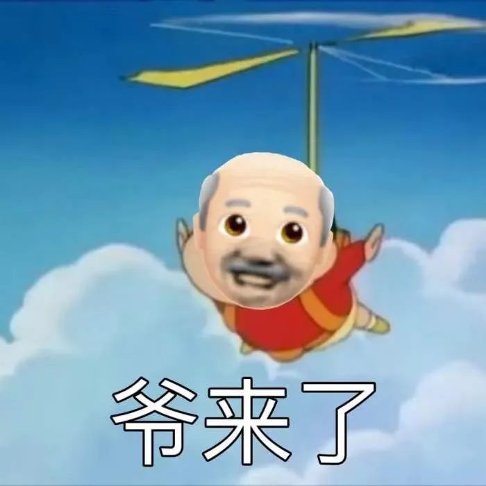 爷来了!快接住我!