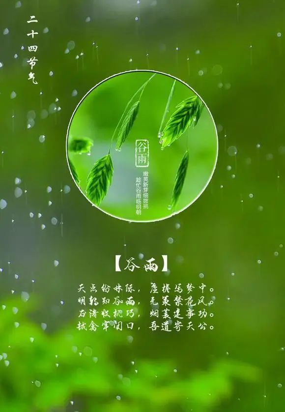 谷雨时节早安祝福的句子 谷雨问候动态图片带字大全