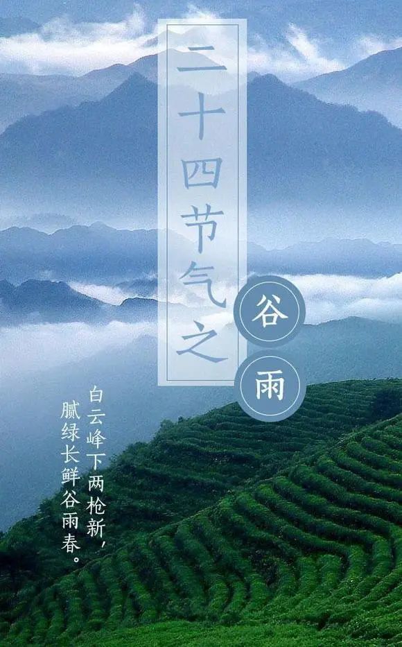 谷雨时节早安祝福的句子 谷雨问候动态图片带字大全