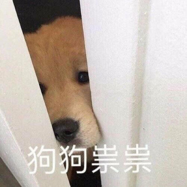 表情包:狗东西,看招!