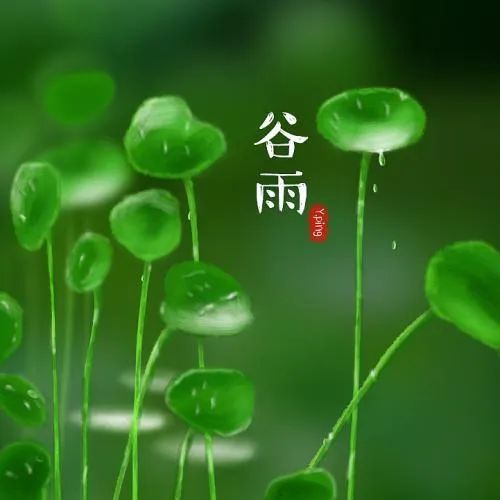 谷雨:雨生百谷,万物逢时