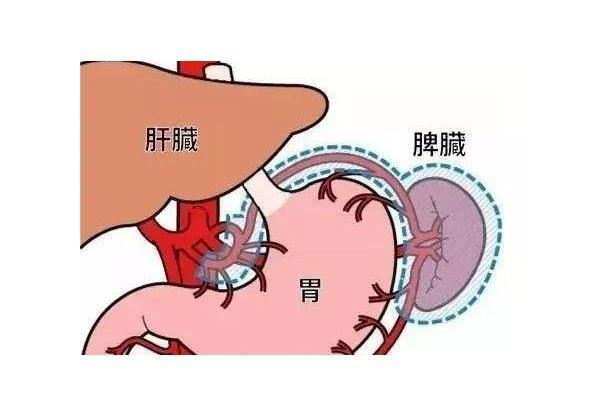 脾虚出现时，脸上会出现这几个不寻常的变化，还请及时养脾！