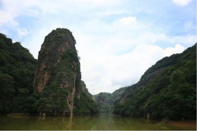 从钢筋水泥的城市,自驾到遮天避日的 岩泉国家森林公园,让人有回归