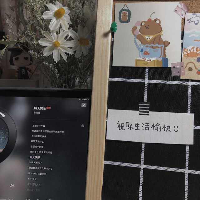 微丧·温柔·文案背景图:巷子里的猫很自由,但没有归宿