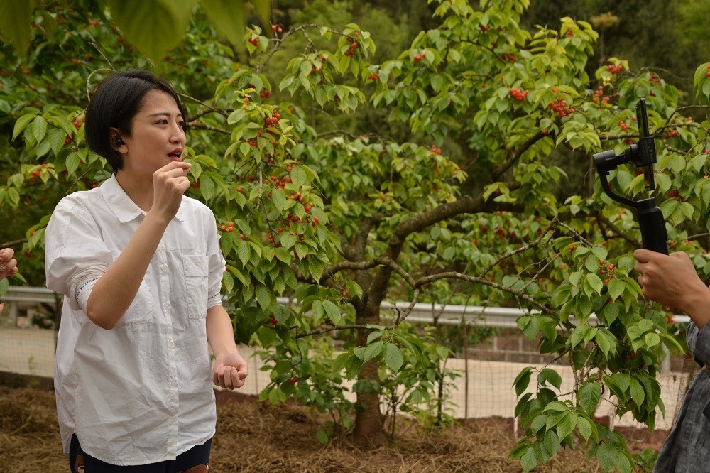 直播现场,神秘人物德阳市旌阳区双东镇镇长张凤洋出场,和"网红"主播罗