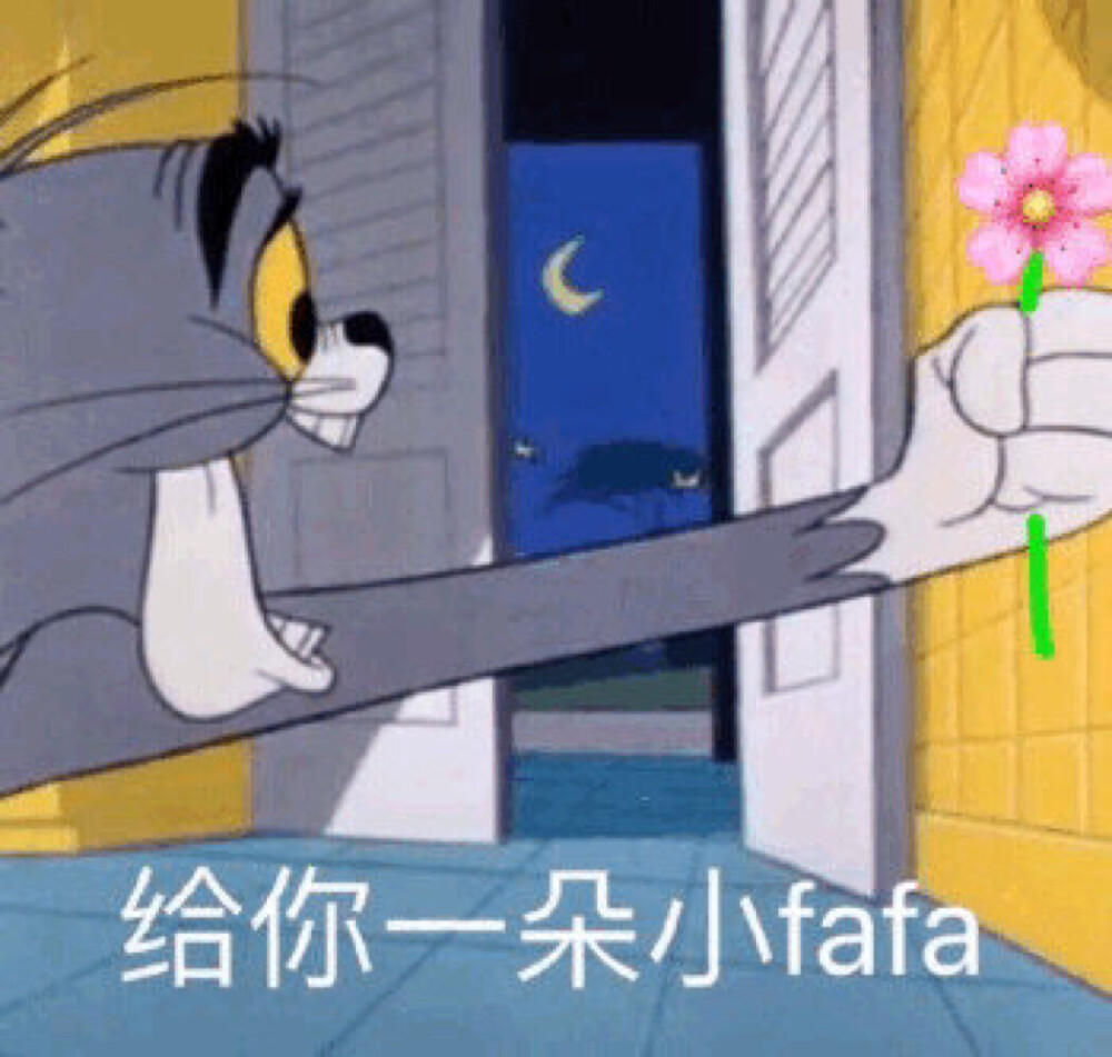 我的宇宙船可能会耗光燃料,但我会赌上所有风险去见你