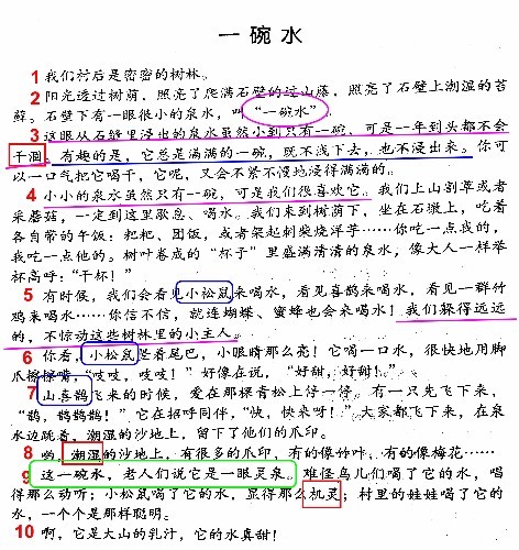 线索简谱_线索细胞图片(2)