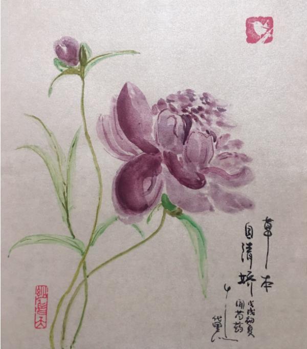 找来完整的全诗看,知道前两句是"庭前芍药妖无格,池上芙蕖净少情"