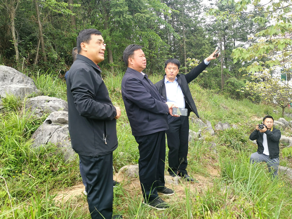 刘昌刚调研湘西青坪国有林场