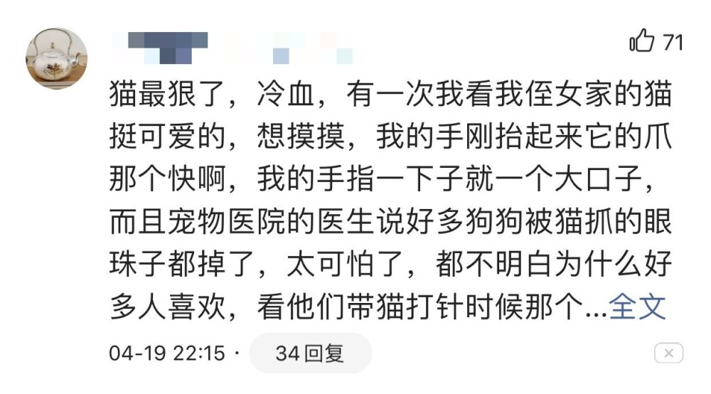 接诊医生反映,被猫抓伤几近失明的病例,还是首次见到!